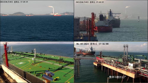 加强进出港船舶安全监管 惠州海事局强化水上交通精细化管理